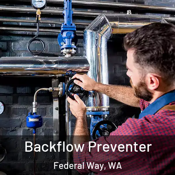  Backflow Preventer Federal Way, WA