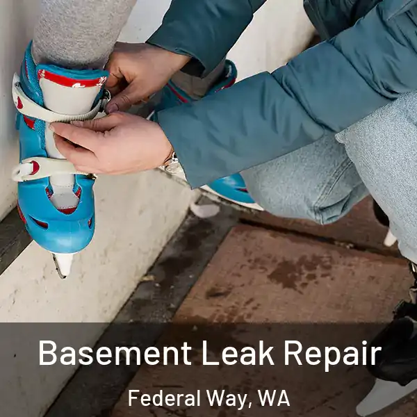  Basement Leak Repair Federal Way, WA