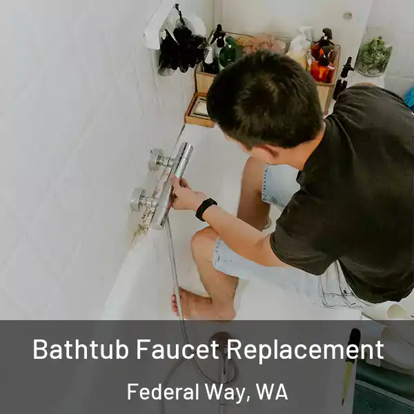  Bathtub Faucet Replacement Federal Way, WA
