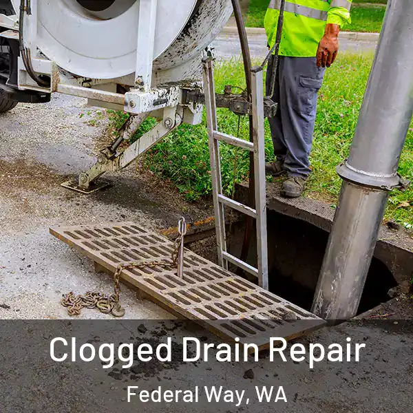  Clogged Drain Repair Federal Way, WA
