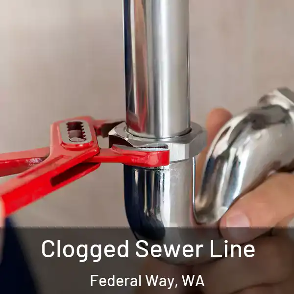  Clogged Sewer Line Federal Way, WA