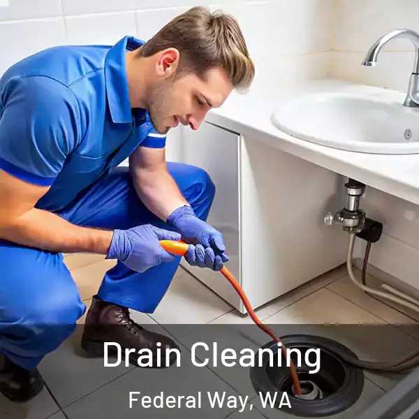  Drain Cleaning Federal Way, WA