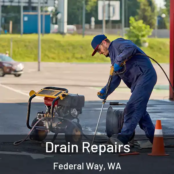  Drain Repairs Federal Way, WA