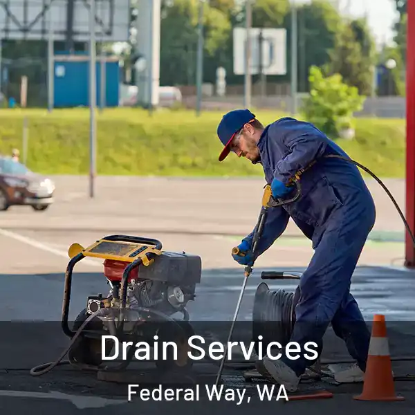  Drain Services Federal Way, WA