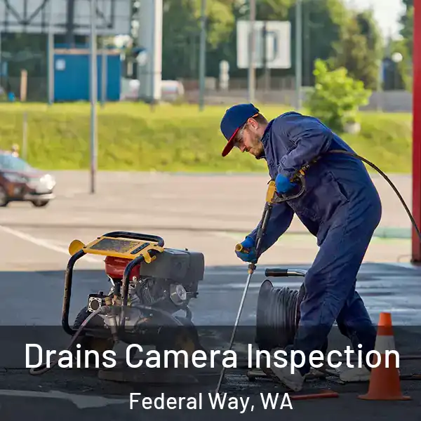  Drains Camera Inspection Federal Way, WA