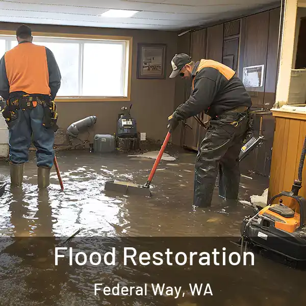 Flood Restoration Federal Way, WA