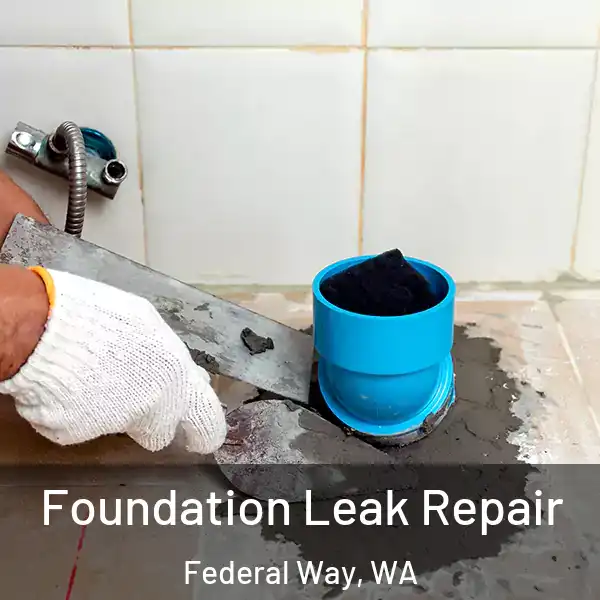  Foundation Leak Repair Federal Way, WA