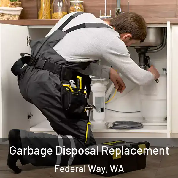  Garbage Disposal Replacement Federal Way, WA