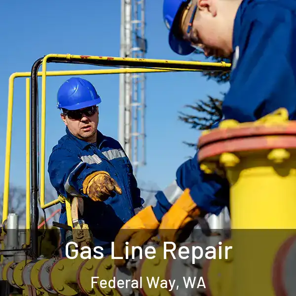  Gas Line Repair Federal Way, WA