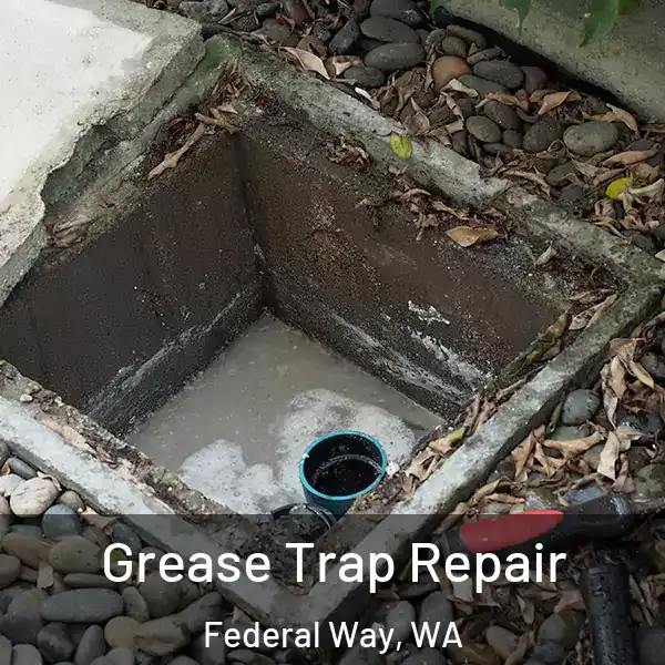  Grease Trap Repair Federal Way, WA