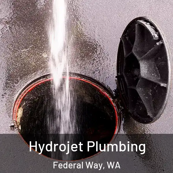  Hydrojet Plumbing Federal Way, WA