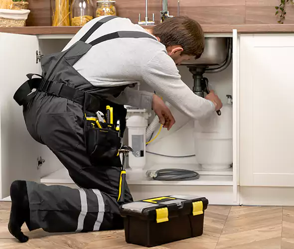 Certified Plumbers for Insinkerator Installation in Federal Way