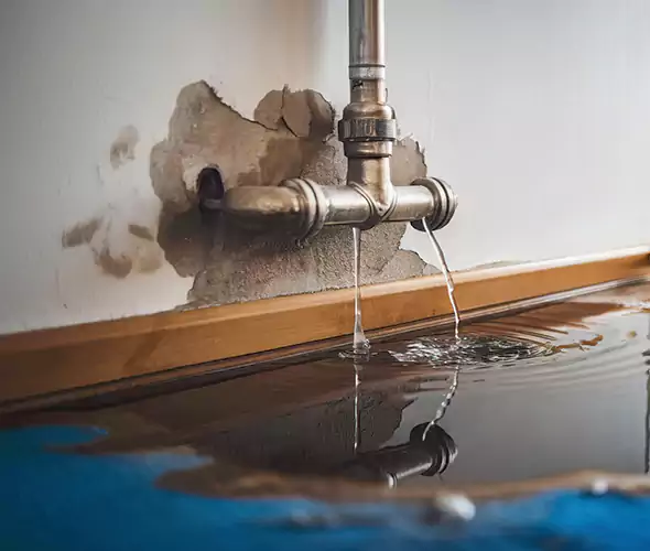 Professional Water Damage Restoration Experts in Federal Way, WA — Fast, Reliable & Certified