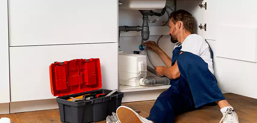 Reliable Garbage Disposal Replacement Services in Federal Way, WA