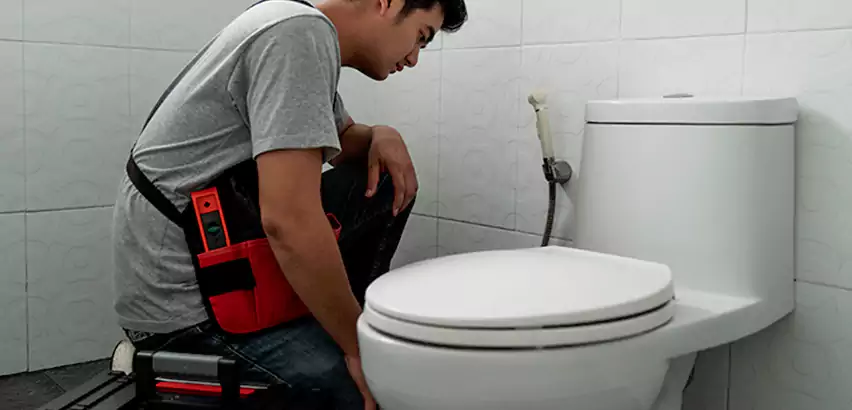 Toilet Repair in Federal Way
