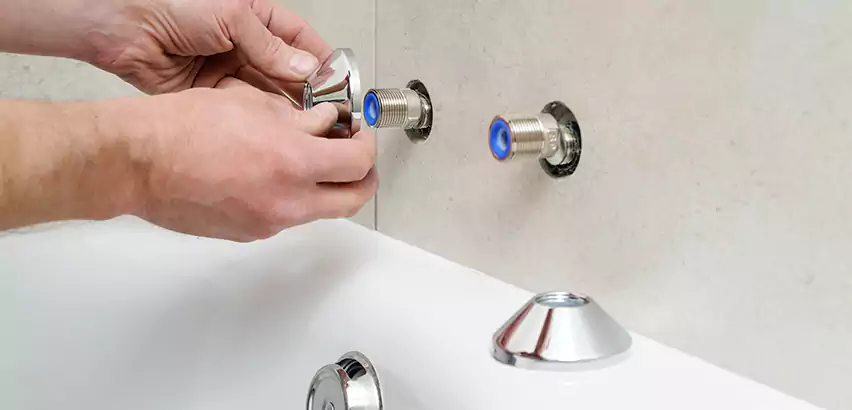Bathtub Faucet Diverter Replacement in Federal Way