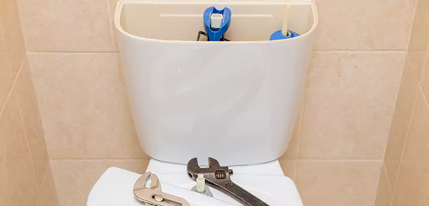 Upflush Toilet Installation in Federal Way