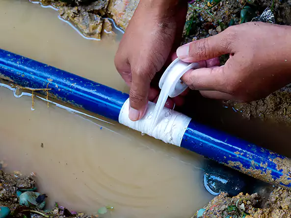 Why Choose A Plus Plumbers Federal Way for Leak Detection in Federal Way, WA?]