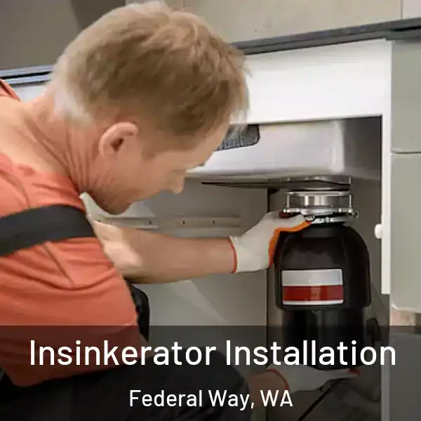  Insinkerator Installation Federal Way, WA