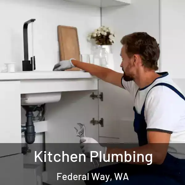  Kitchen Plumbing Federal Way, WA