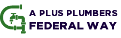 A Plus Plumbers Federal Way