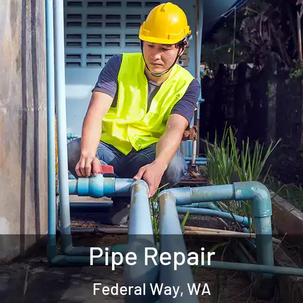  Pipe Repair Federal Way, WA