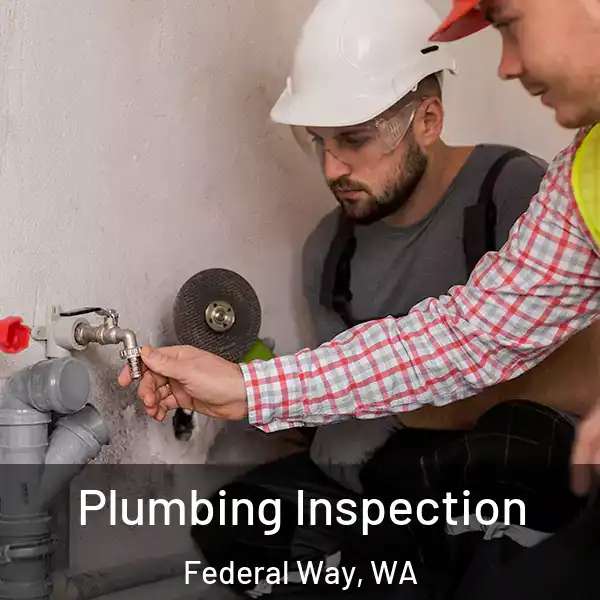  Plumbing Inspection Federal Way, WA