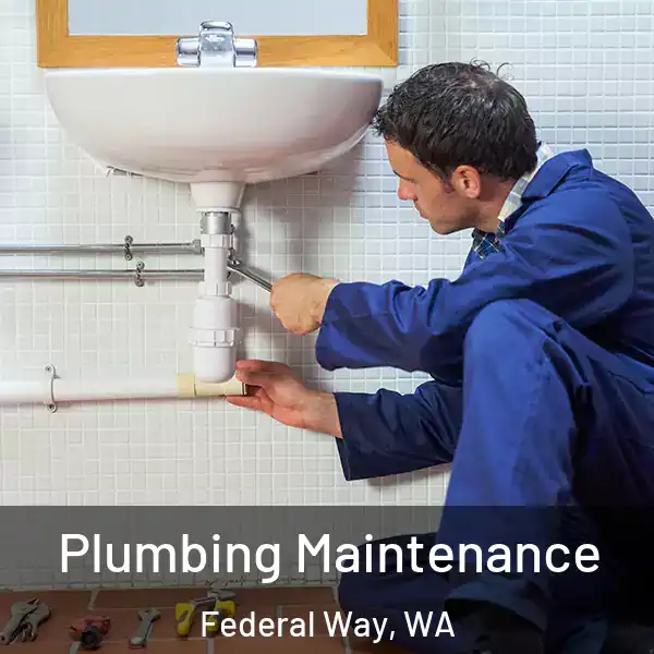  Plumbing Maintenance Federal Way, WA