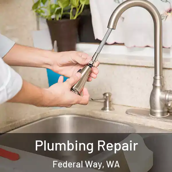  Plumbing Repair Federal Way, WA