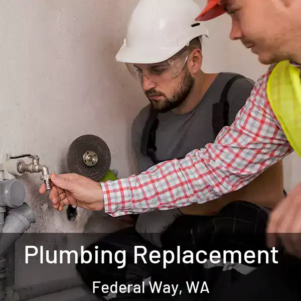  Plumbing Replacement Federal Way, WA