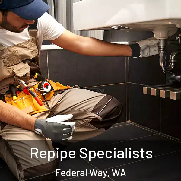  Repipe Specialists Federal Way, WA