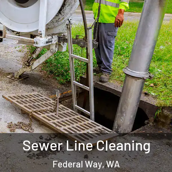  Sewer Line Cleaning Federal Way, WA
