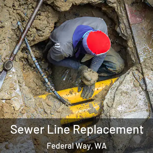  Sewer Line Replacement Federal Way, WA