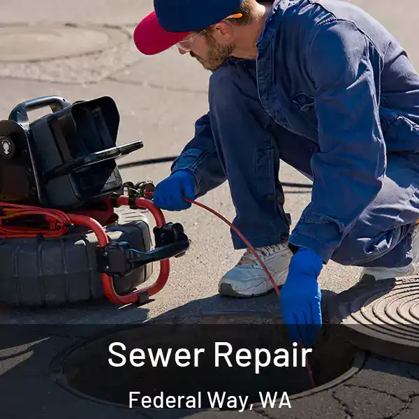  Sewer Repair Federal Way, WA