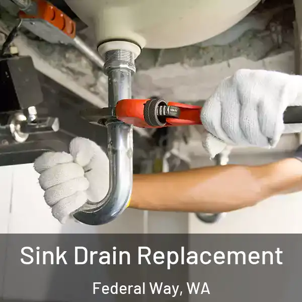  Sink Drain Replacement Federal Way, WA
