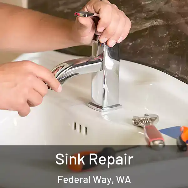  Sink Repair Federal Way, WA