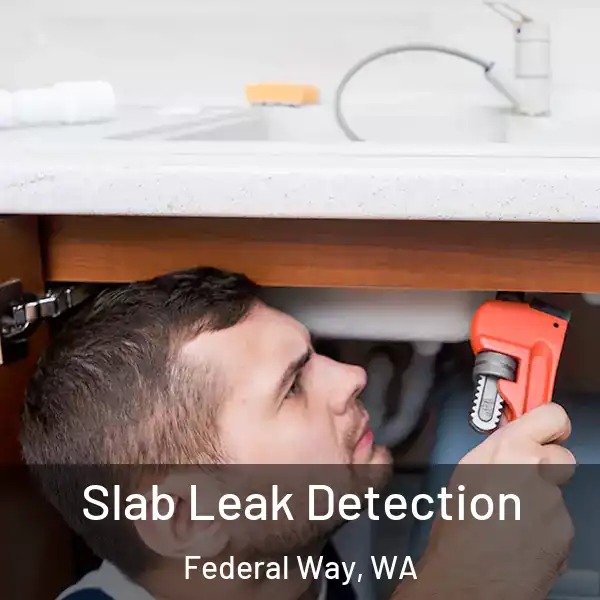  Slab Leak Detection Federal Way, WA