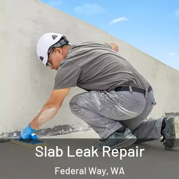  Slab Leak Repair Federal Way, WA