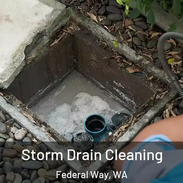  Storm Drain Cleaning Federal Way, WA