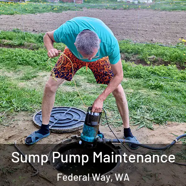  Sump Pump Maintenance Federal Way, WA