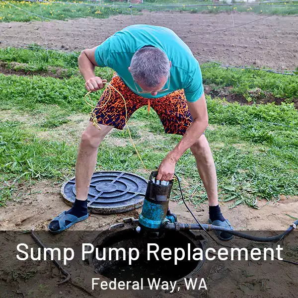  Sump Pump Replacement Federal Way, WA