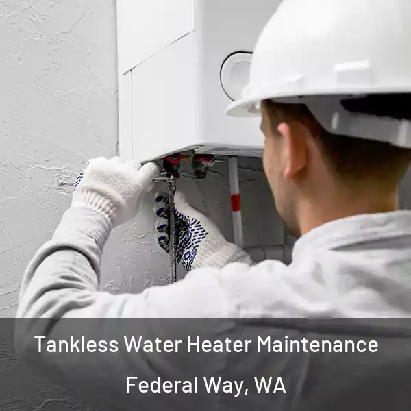  Tankless Water Heater Maintenance Federal Way, WA