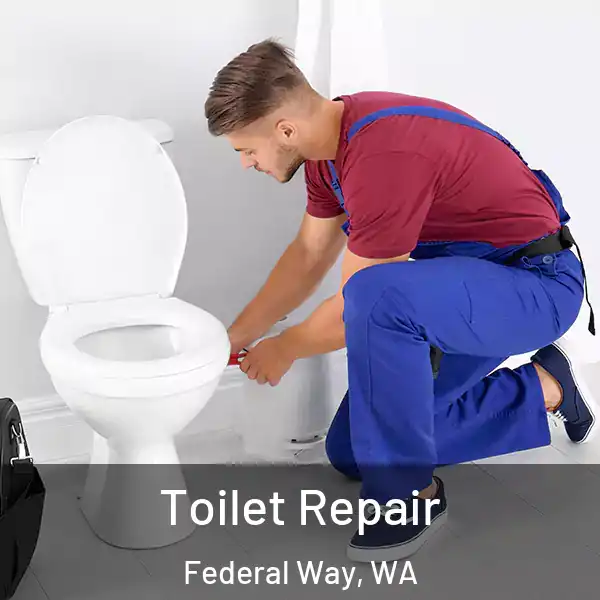  Toilet Repair Federal Way, WA