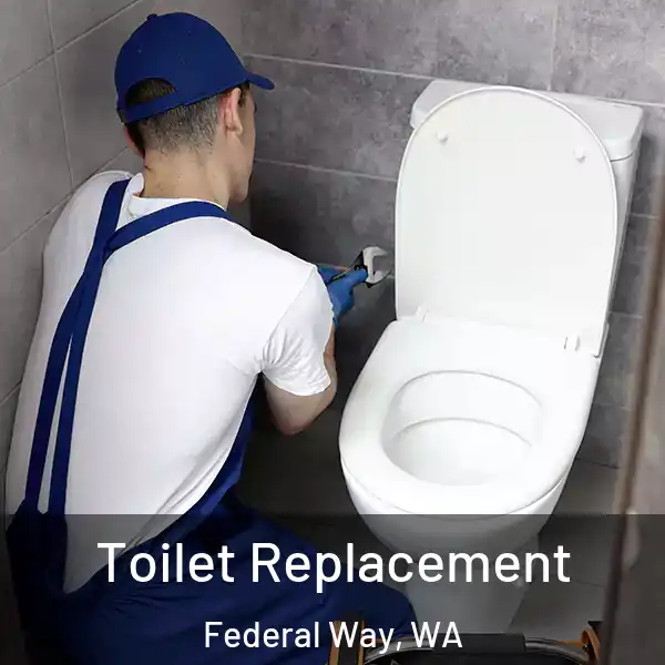  Toilet Replacement Federal Way, WA
