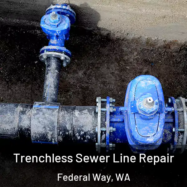  Trenchless Sewer Line Repair Federal Way, WA
