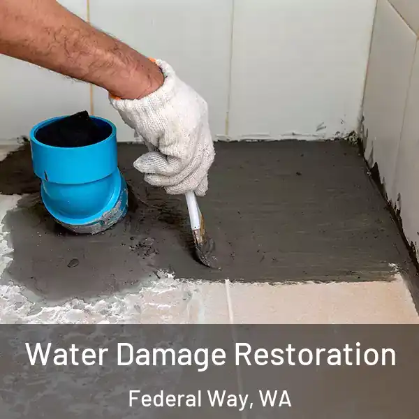  Water Damage Restoration Federal Way, WA