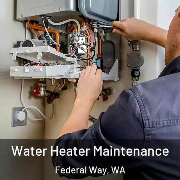  Water Heater Maintenance Federal Way, WA