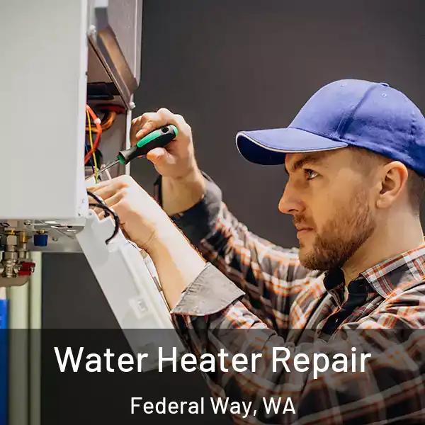  Water Heater Repair Federal Way, WA