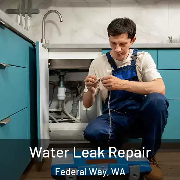  Water Leak Repair Federal Way, WA