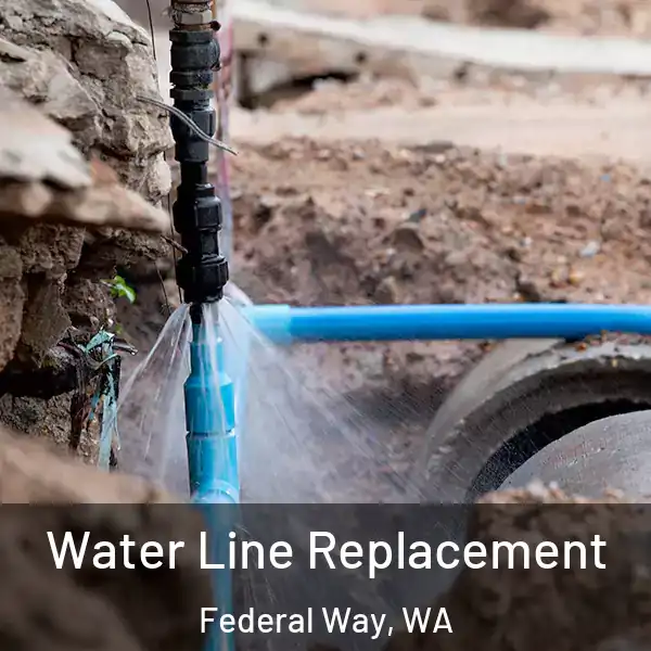  Water Line Replacement Federal Way, WA